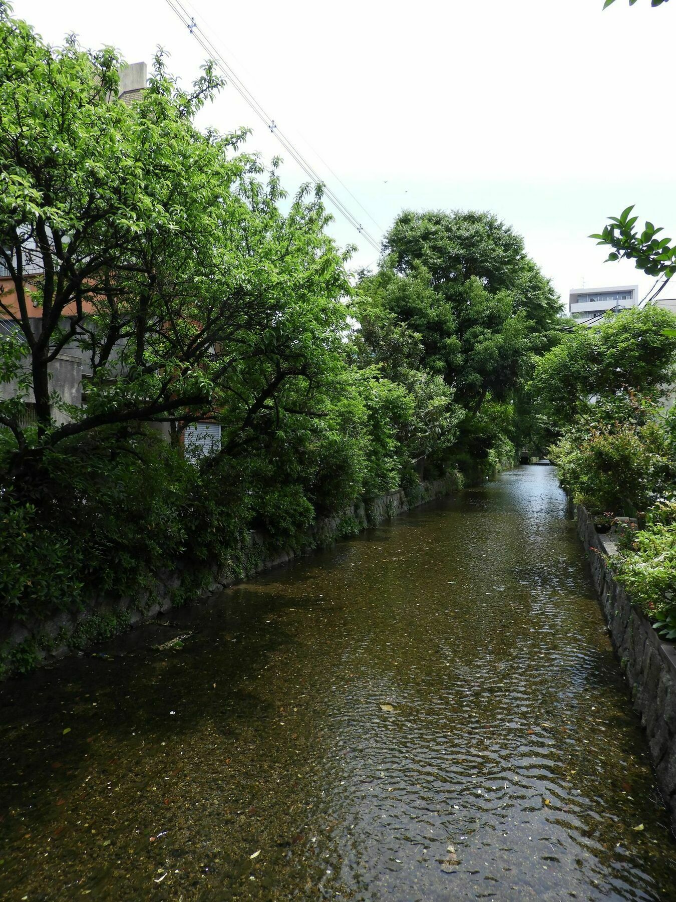 Kyoto Takasegawa Bettei Hotel Bagian luar foto